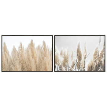 BB_S3039040