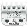 BB_S6100001