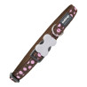 BB_S6100048