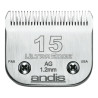 BB_S6100924