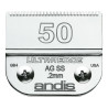 BB_S6100931
