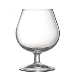 DEGUSTATION BRENDIJA CUP...