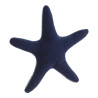 BB_S6102388