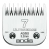BB_S6103144