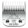 BB_S6103145