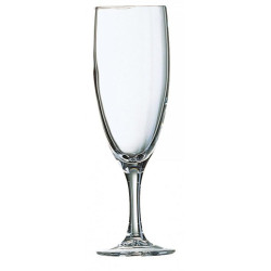 ELEGANCE ŠAMPANIEŠA CUP...