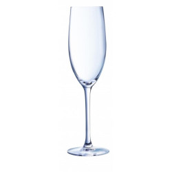 C&S CABERNET ŠAMPANIEŠA CUP...