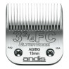 BB_S6103146