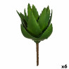 BB_S3624952