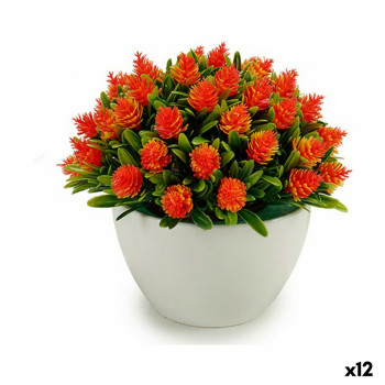 BB_S3623827