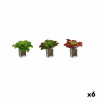 BB_S3623999