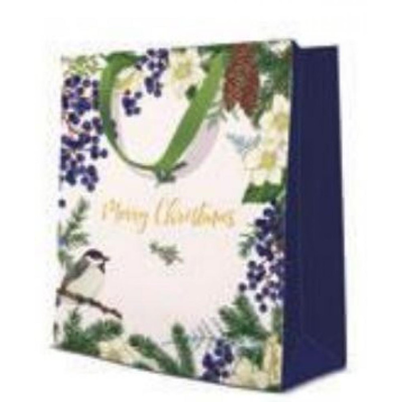 GIFT PACKAGE  MEDIUM 20X25X10CM CHRISTMAS SPARROW, Paw Decor Collection