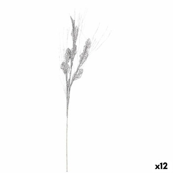 BB_S3627748