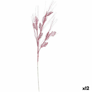 BB_S3627749