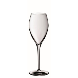 SMART ŠAMPANIEŠA CUP...