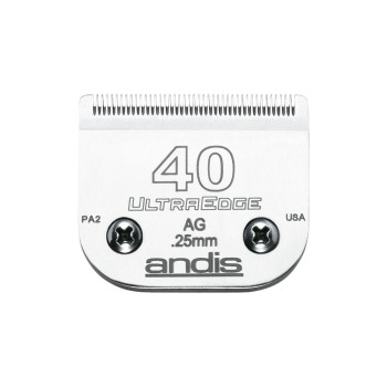 BB_S6100913