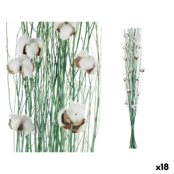BB_S3630031