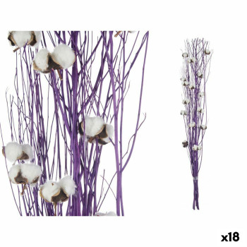 BB_S3630033