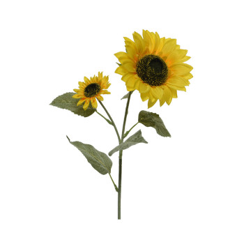 BB_S7912982