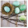 NAPKINS  33X33 EGGS NEST, Paw Decor Collection