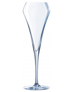 OPEN UP EFFERVESCENT ŠAMP....