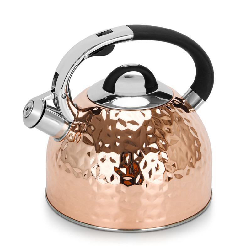 Tējkanna NICOLE 2,5 l