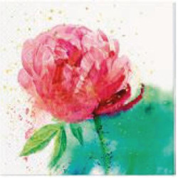 SALVETES 33X33CM PEONY...