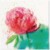 NAPKINS  33X33CM PEONY WATERCOLOR, Paw Decor Collection