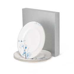 Set of porcelain plates...