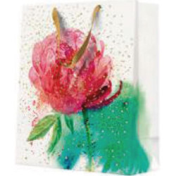 GIFT PACKAGE  LARGE...