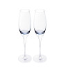 Champagne glasses 230 ml / 2 pcs
