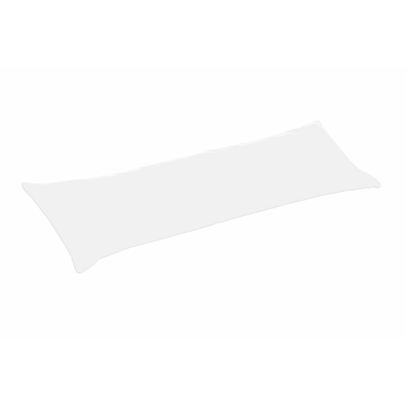 BB_D2100253 BB_D2100253