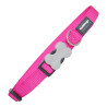 BB_S6100024