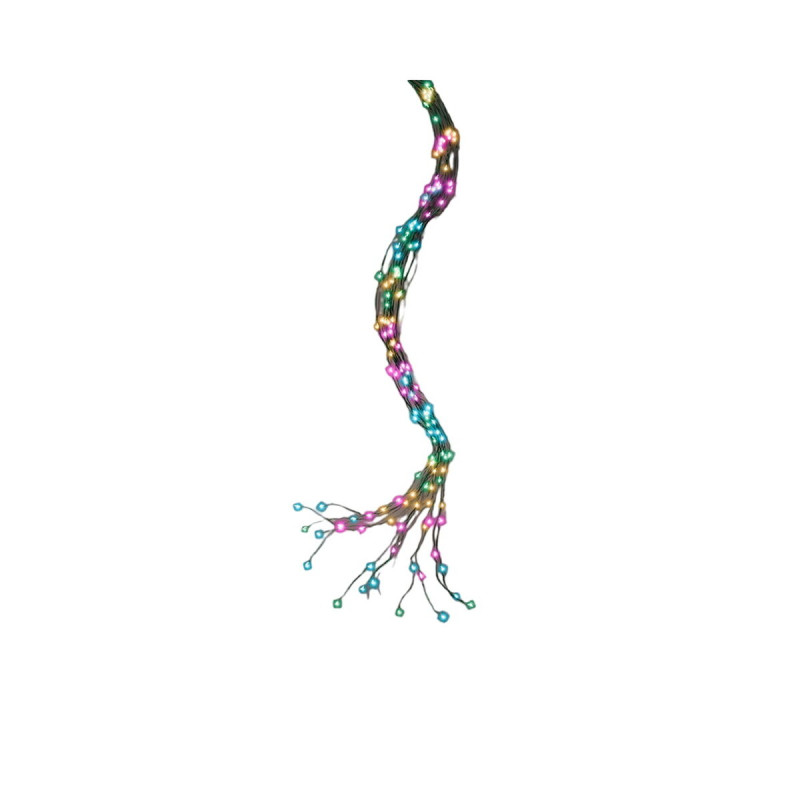 BB_S7924591 BB_S7924591