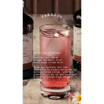 PARAGON Rūdinių vaisių kordialus 485 ml