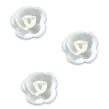 RP01