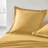 BB_S7187916