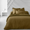 BB_S7187996