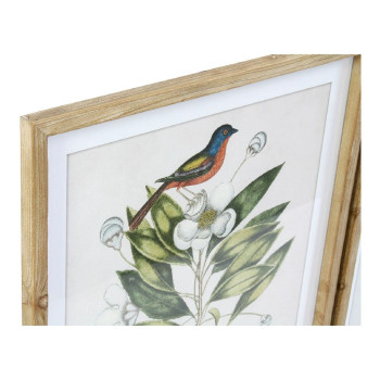 Paveikslas DKD Home Decor Bird Stiklas Eglė 55 x 2,5 x 70 cm (4 Dalys),,,