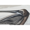 BB_S3018420