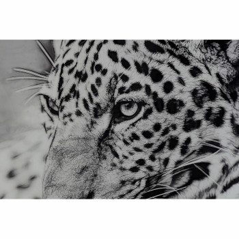 BB_S3028179