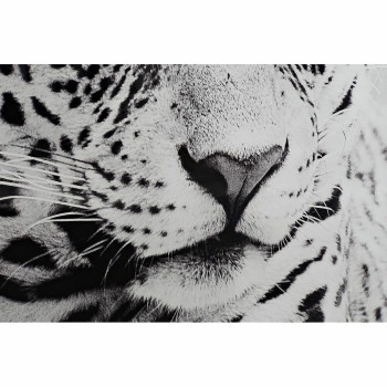 BB_S3028179