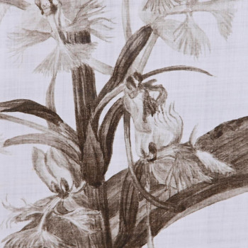 BB_S3038854