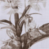 BB_S3038854