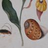 BB_S3038858