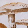 BB_S3038861