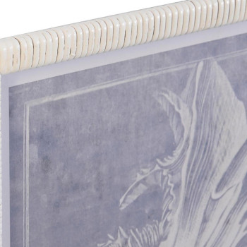 Картина DKD Home Decor Стеклянный Раковина 50 x 2 x 60 cm 50 x 60 x 2,5 cm (4 Предметы)