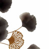 BB_S3611284