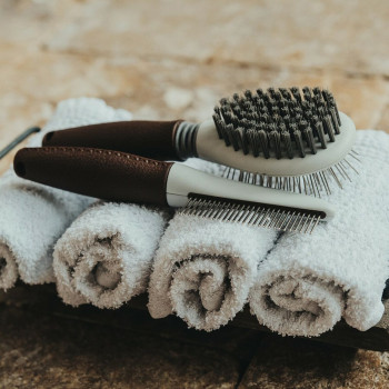 Detangling Hairbrush Hunter 2-in-1,,,