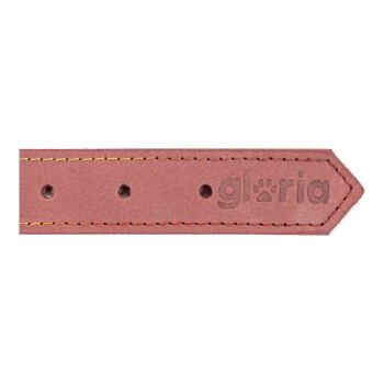Собачий ошейник Gloria Oasis Розовый (50 x 2,1 cm)